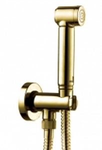 Гигиенический душ (лейка) для биде Bossini Alexa-Brass Бронза (Комплект) C69004B